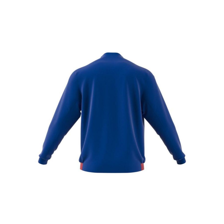 Veste presentation adidas EdF 21 FFHB