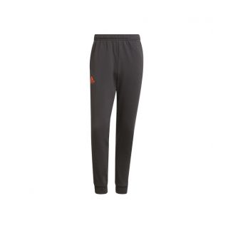 Pantalon Adidas gris