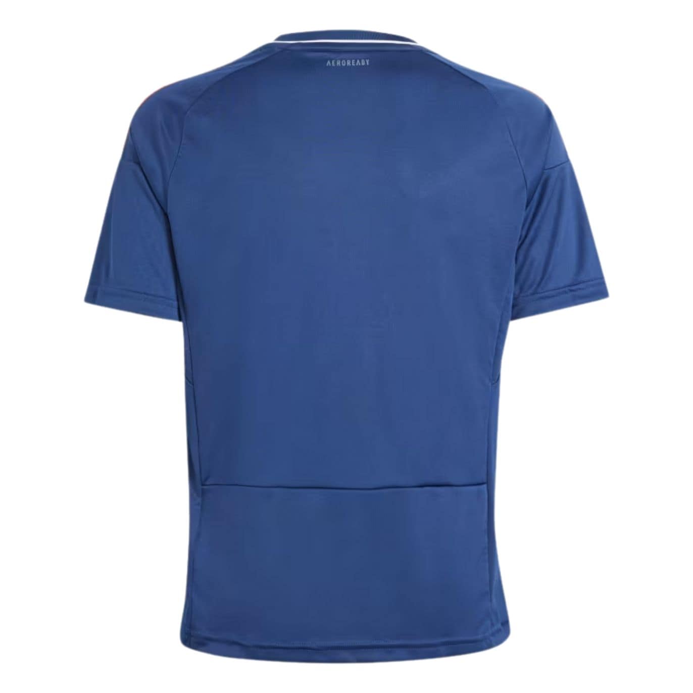 Maillot replica junior bleu EdF 23